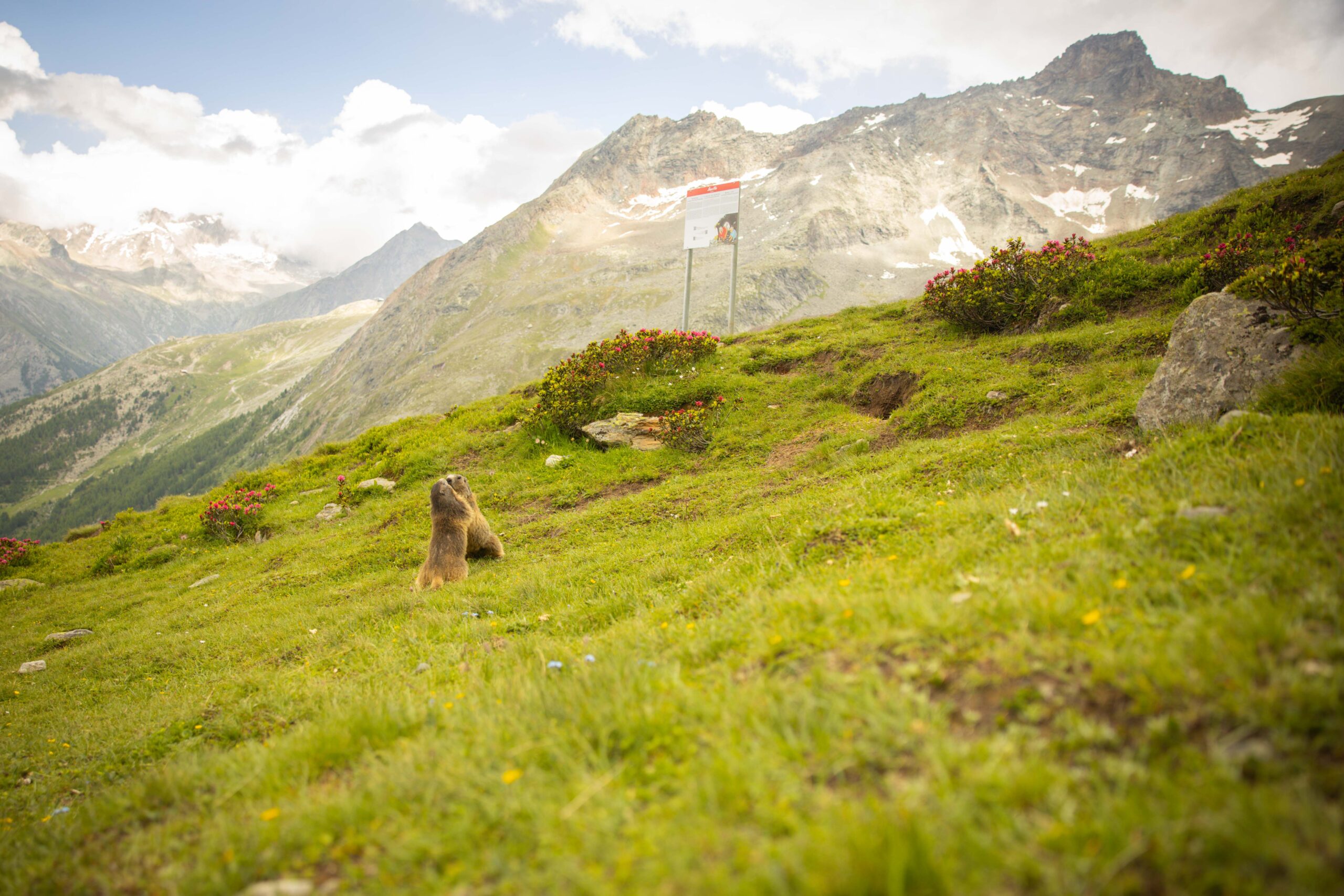 Saas-Fee – 3 Tage und 3 Nächte im Saastal