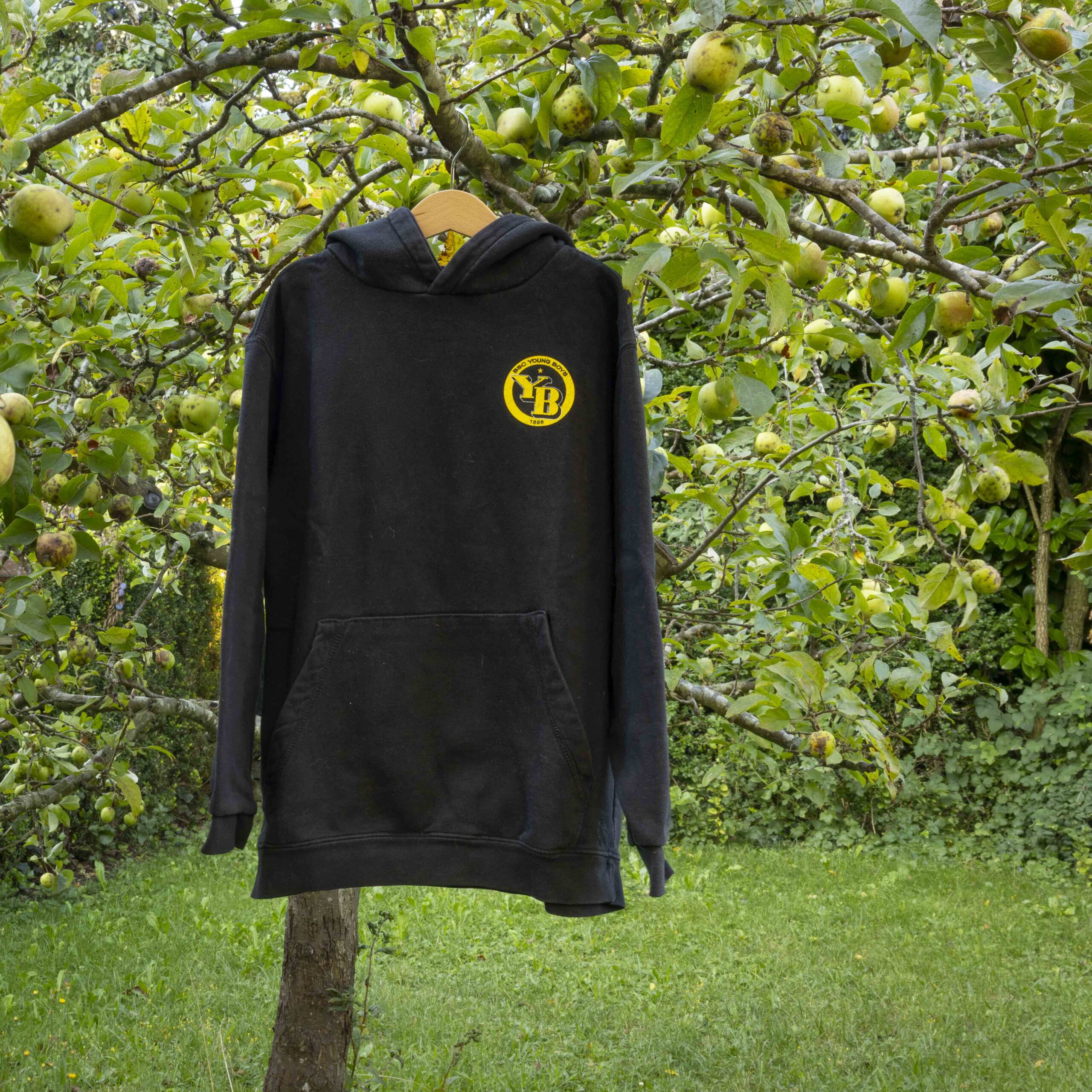 Hoodie BSC YB